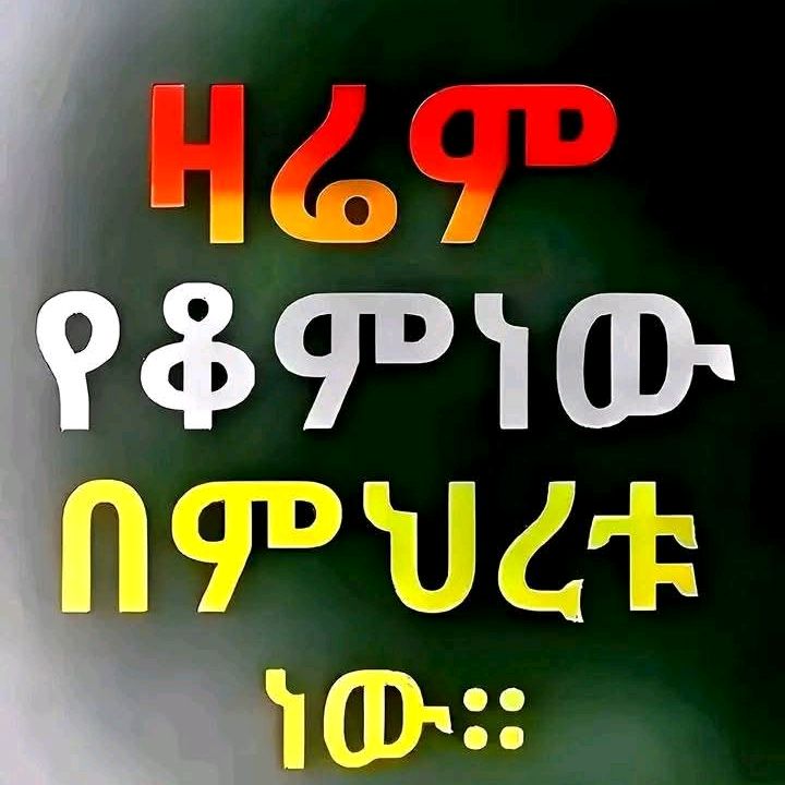 Kalkidan Hagos