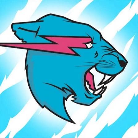 Mr Beast Files
