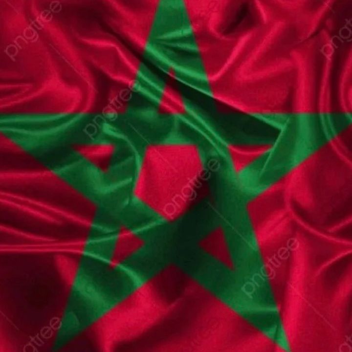 Diaspora Marocaine 🇲🇦