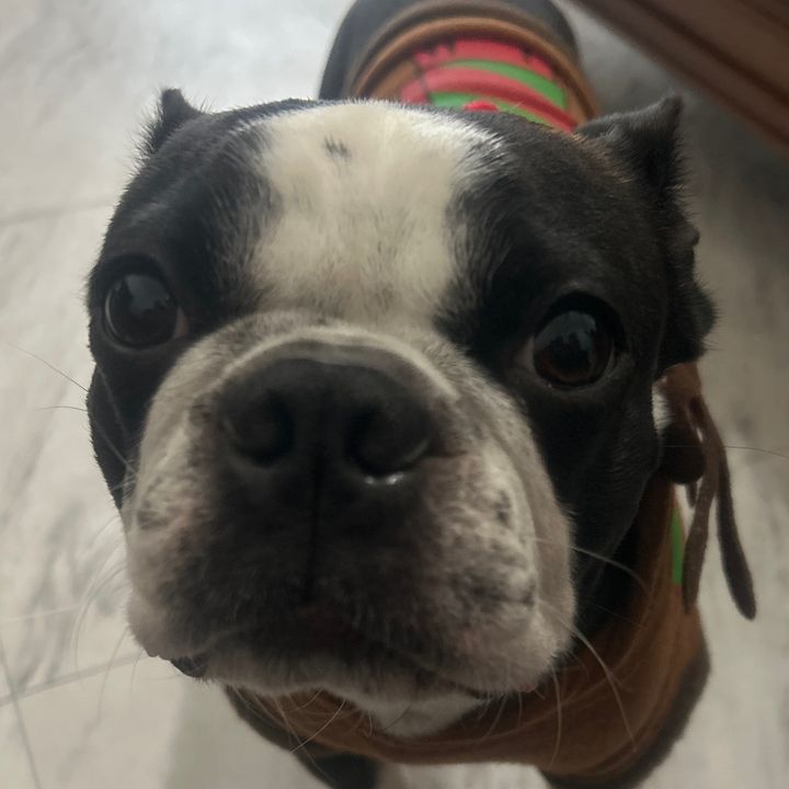 Rocky