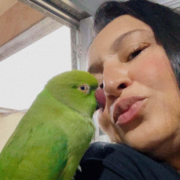 Alê & Pets