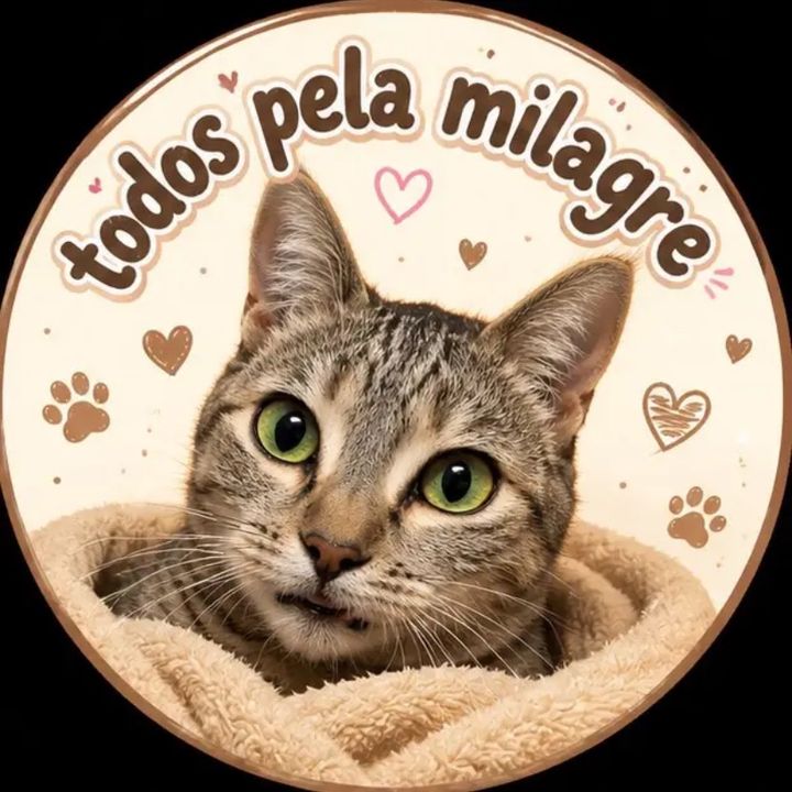Milagre._.0