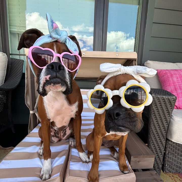 keepingupwithlilyandnora