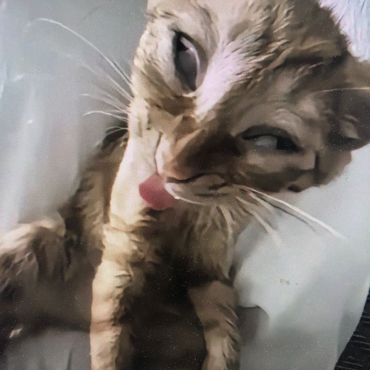 gsddwcskf5