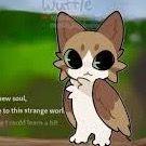 Meoowl