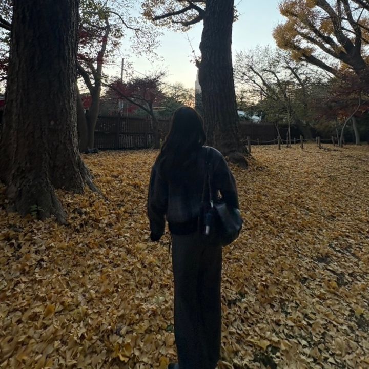 ___.3zoo