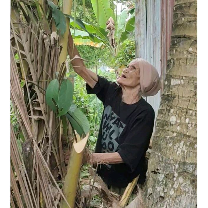 Toko Nenek