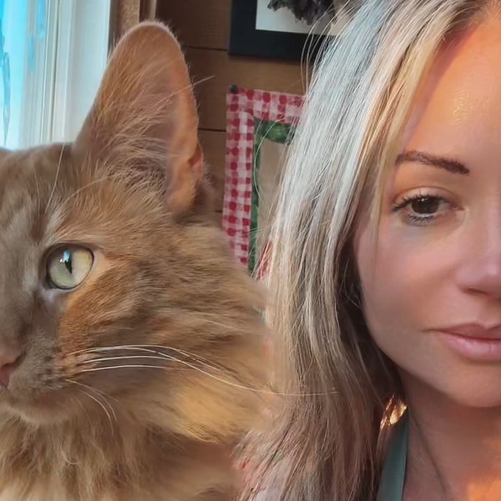 Ãmåñdä Płėåšė 🐈