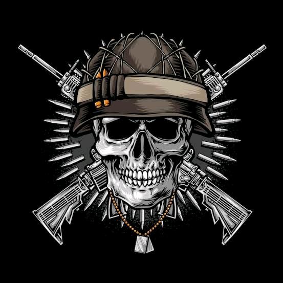 ✓Código_Preto ☠️🇧🇷💥