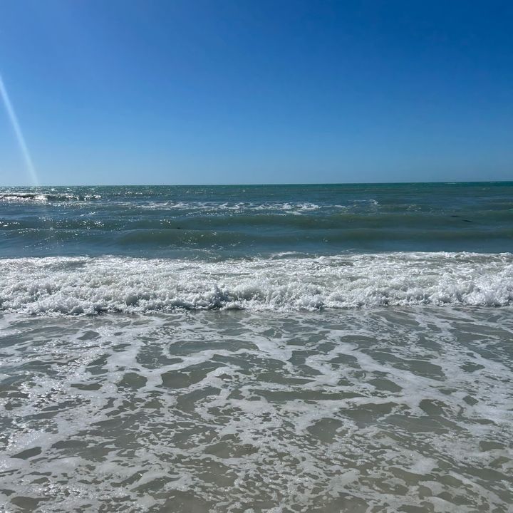 calmcoastalvibes