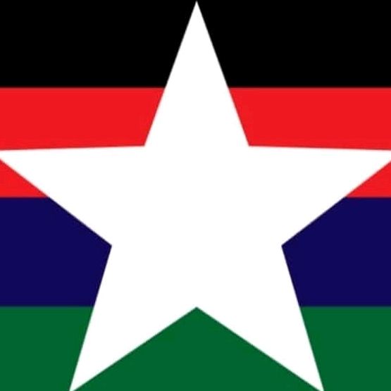 دوله مواطن المتساويه