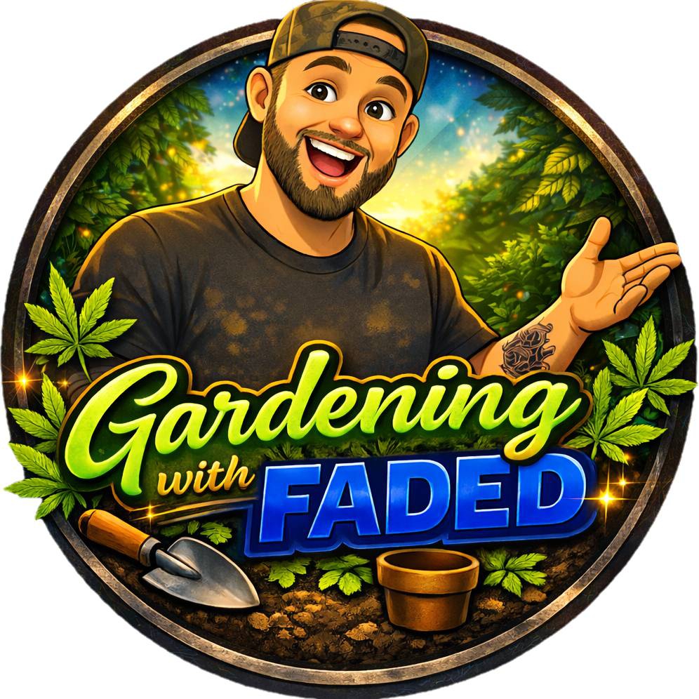 Faded_Nation