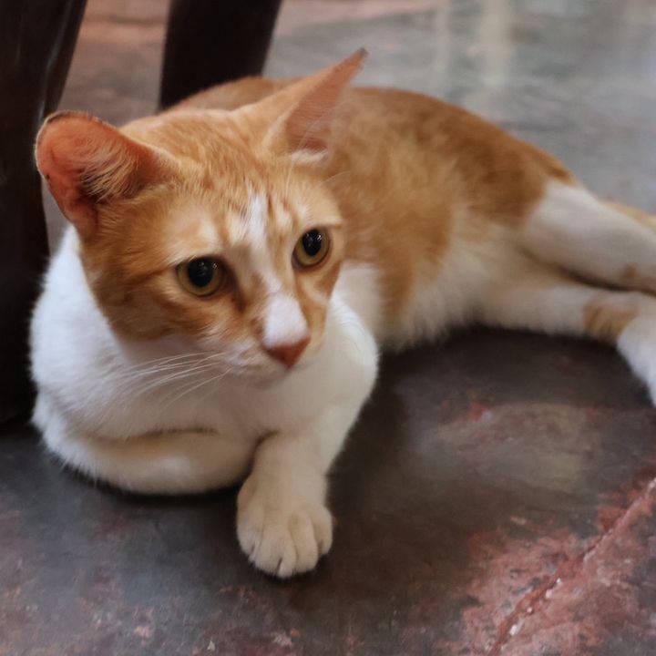 Lrnb 🌻