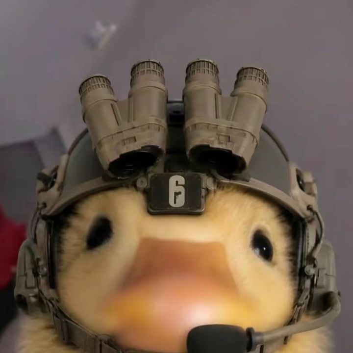 Fortlive