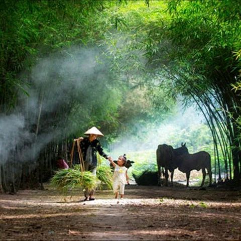 Tiếng Vọng Xưa
