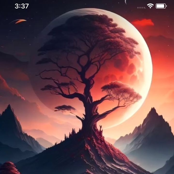 luis.247183