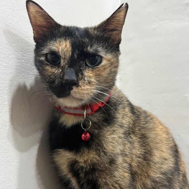 Meemaw 🐾