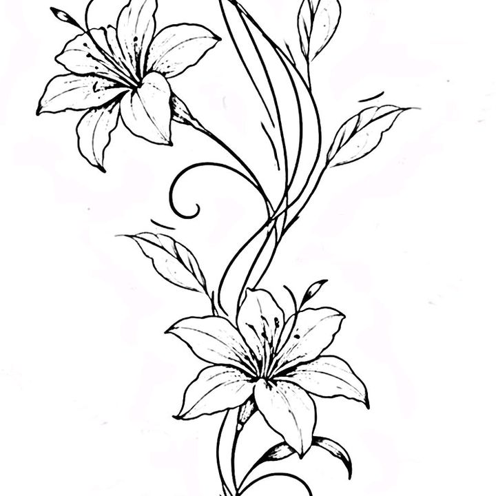 __mentemillonaria___