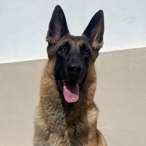 Zeus