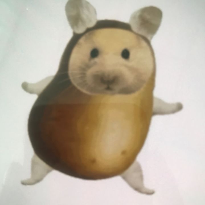 hxttqtmff99