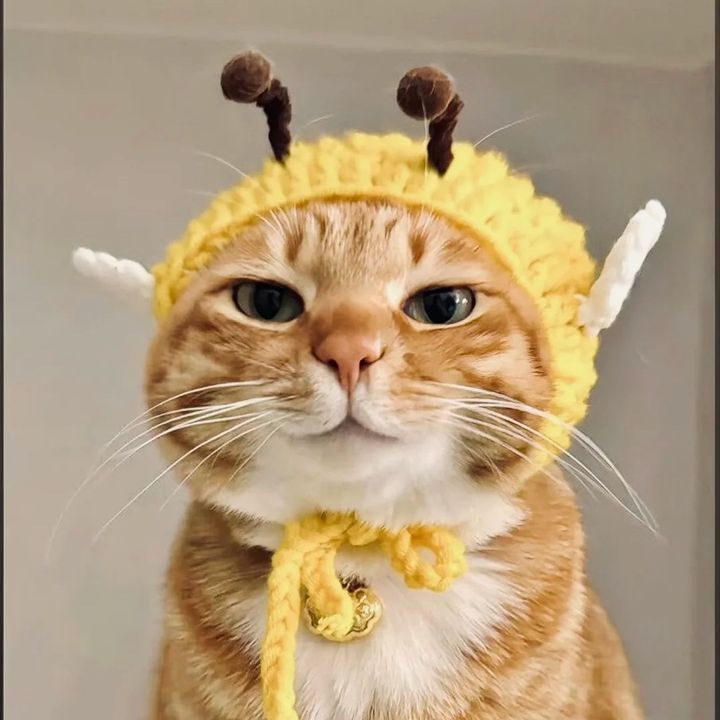 cute.bee