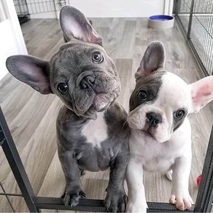 sweet.babyslove