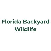 floridabackyardwildlife