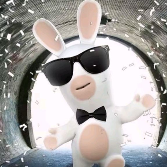 binatang koneho🐰