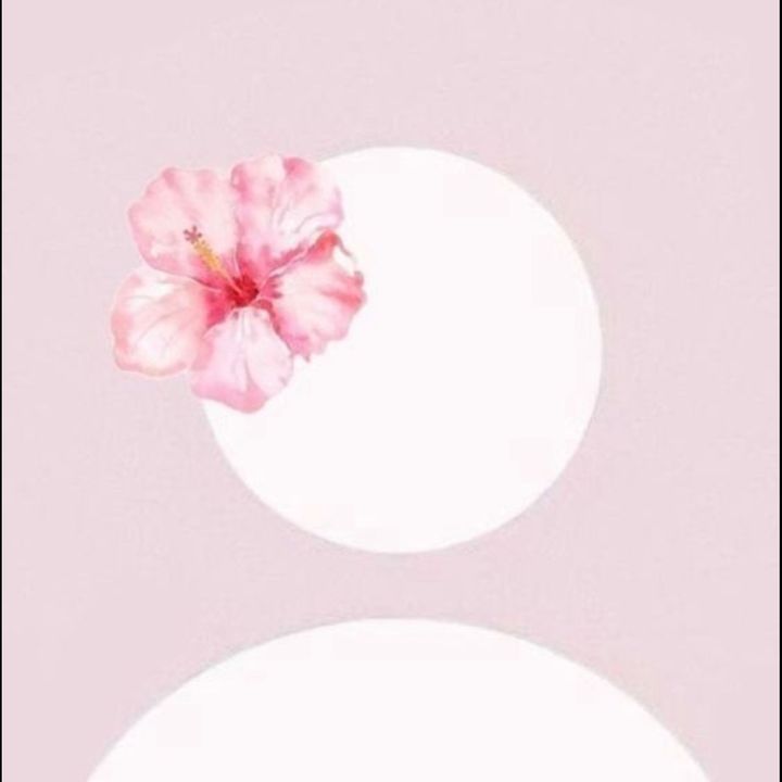 🤍🫧🌸🎧🐆🪩