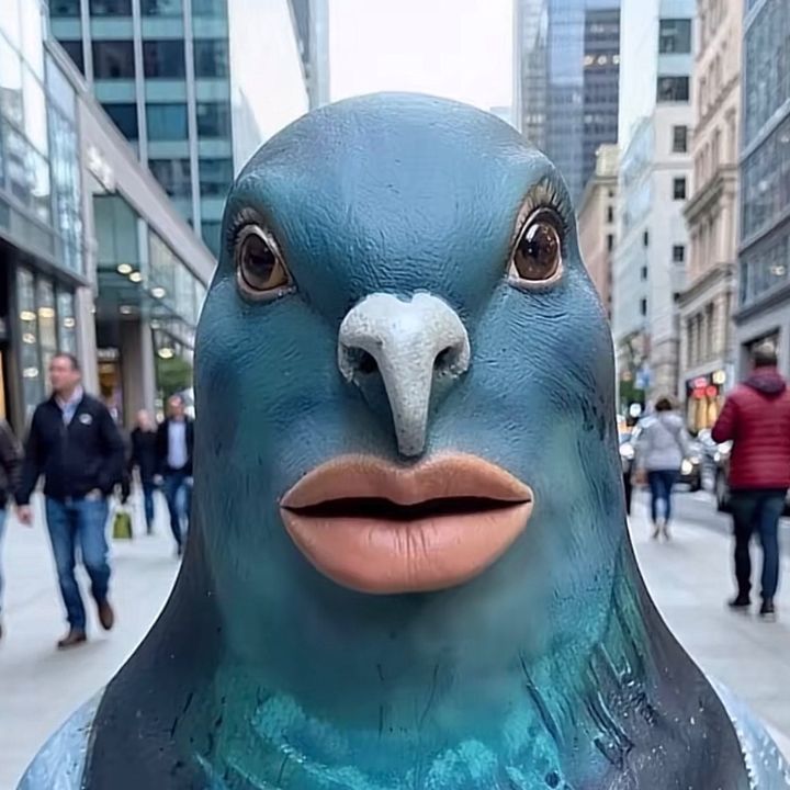 Bro_Pigeon
