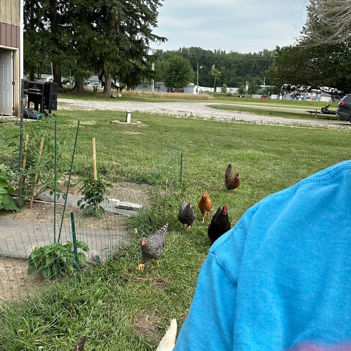 BackyardCommonSense