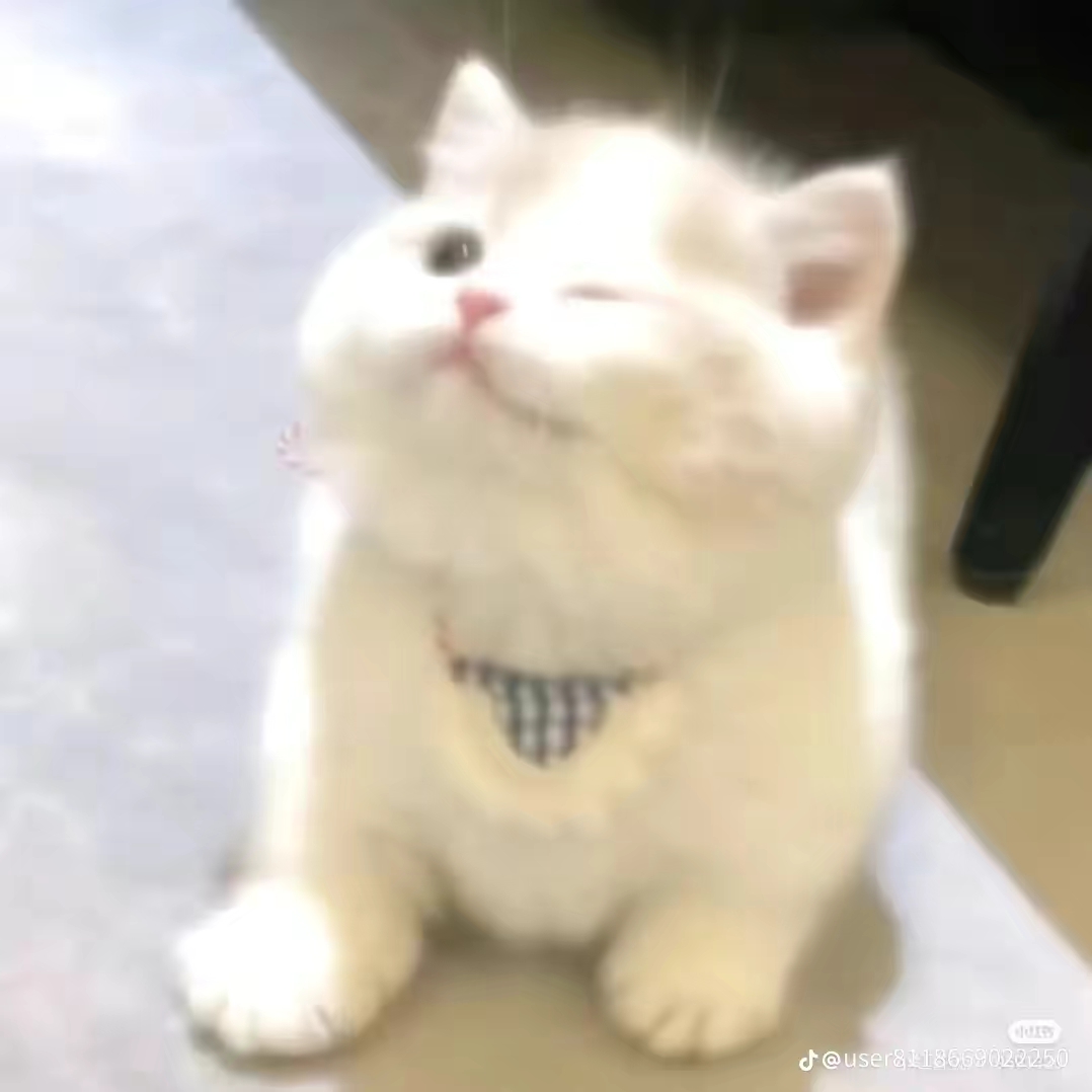 Judd