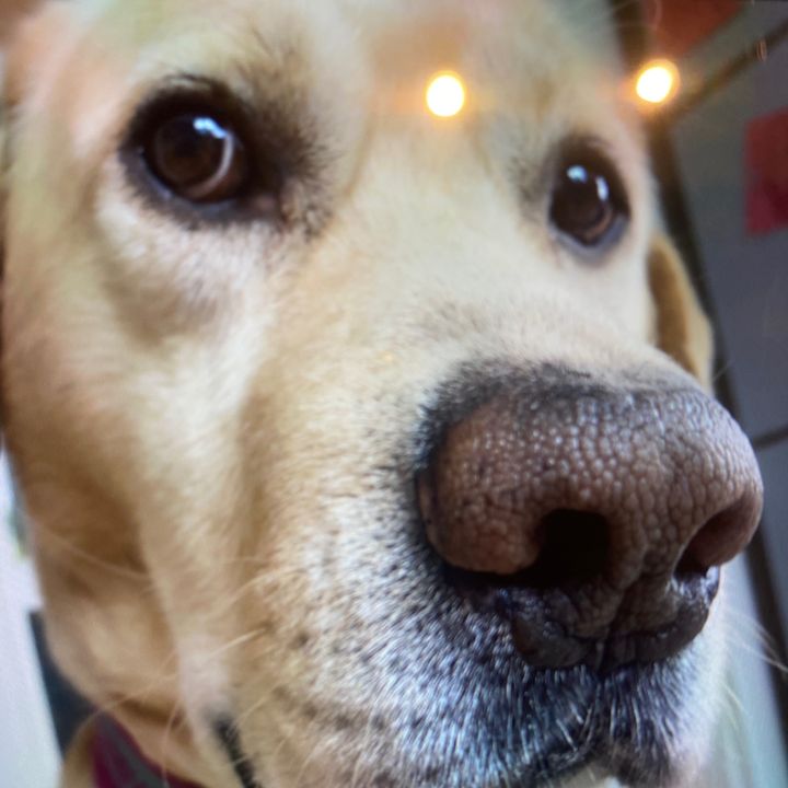 Bellaaaa