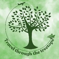 Travel Through The Treetops