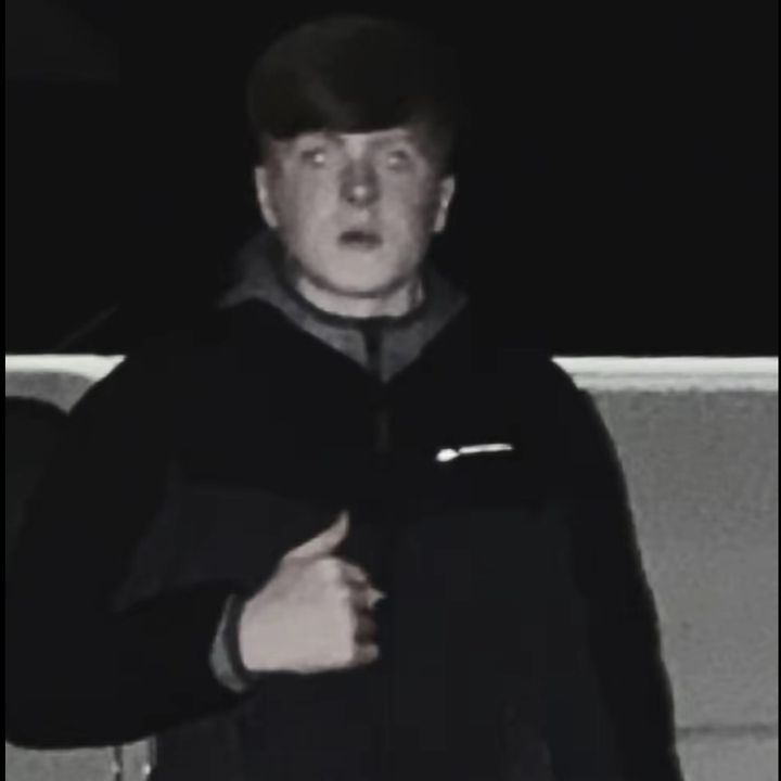 Ryan Darcy🤟