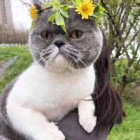 maming740086p1nk