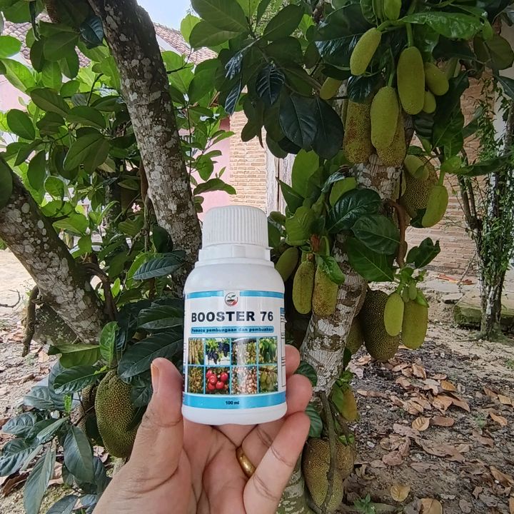 WARUNG BOOSTER 76 ASLI