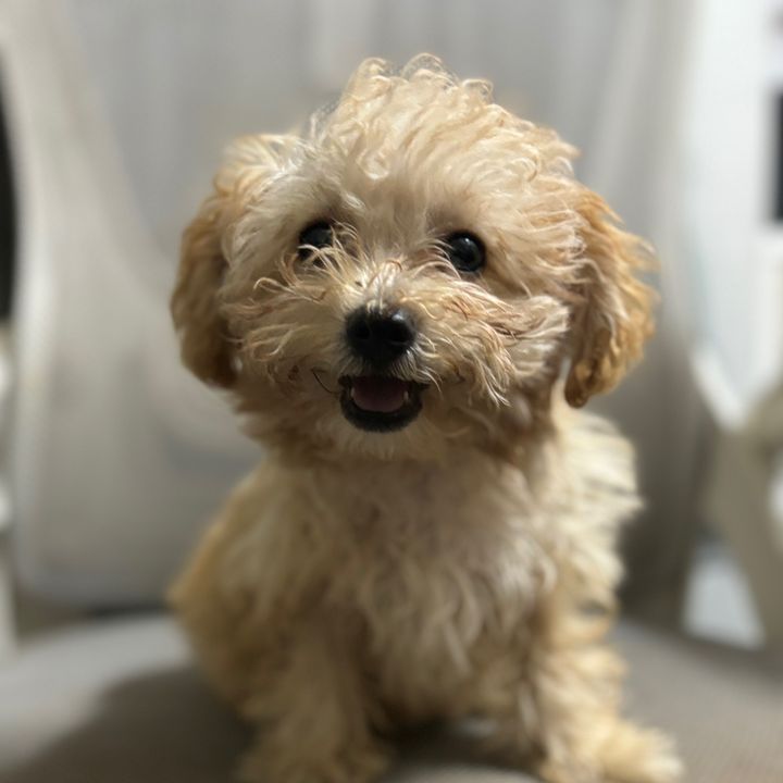 happy