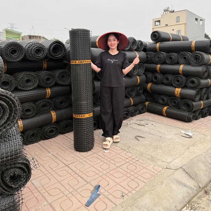 Lưới Nhựa Đăng Phong