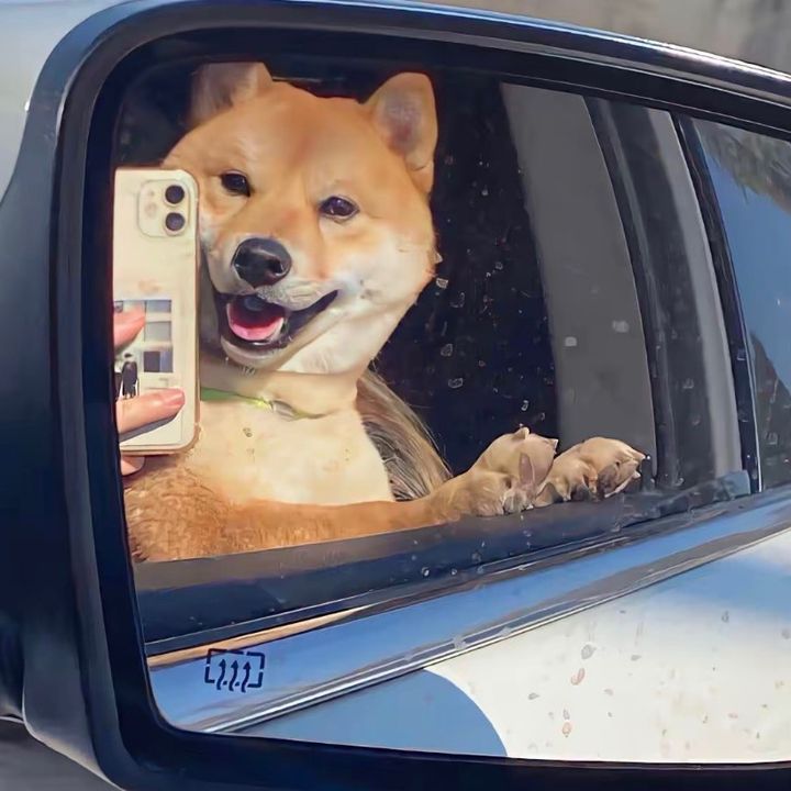 aa