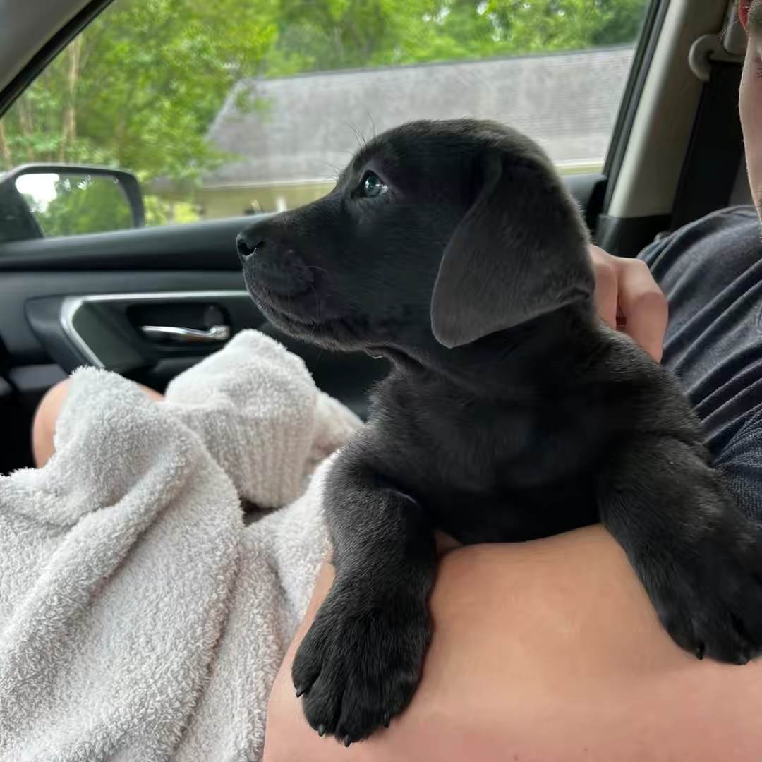 heinz 🐾