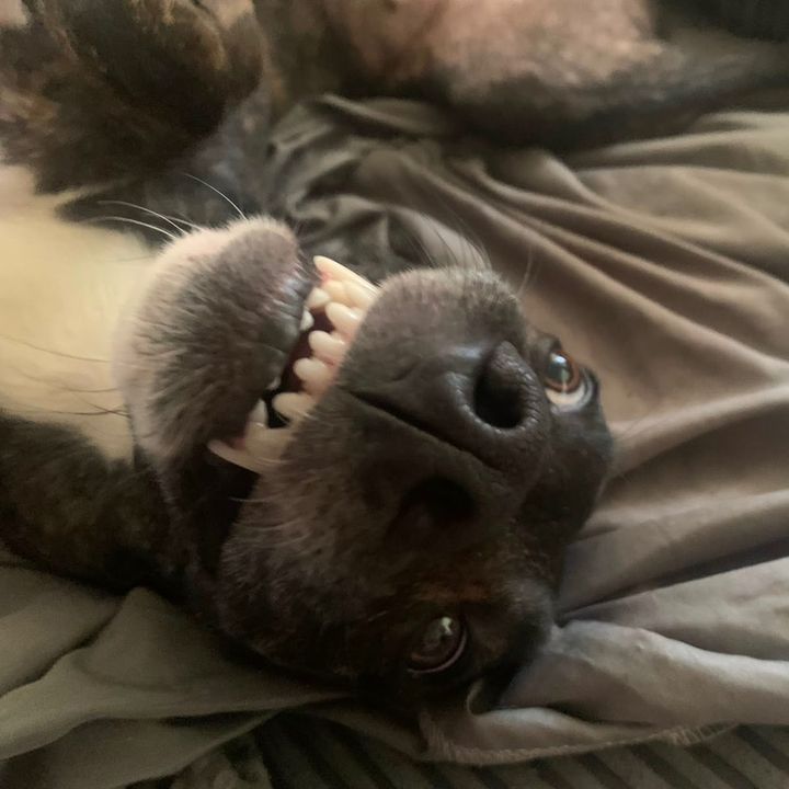 rawrrrr124