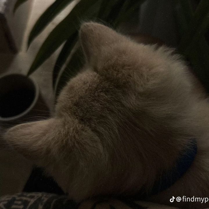 khóc trên những trang sách