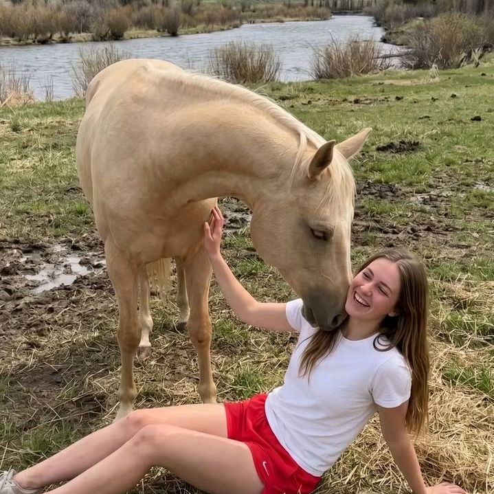 horses