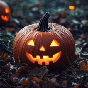 Holidayvibes🎃🎄