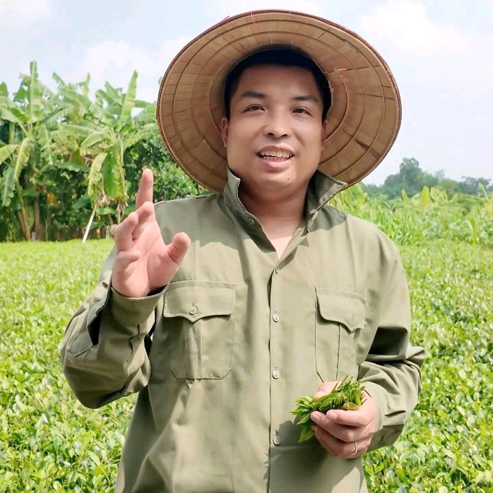 Ngỗng Dùng Dìì