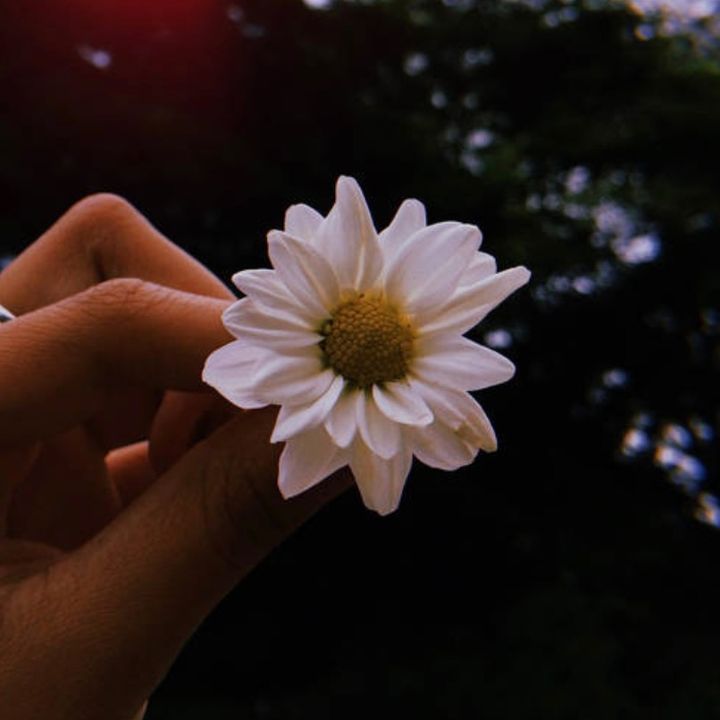 Tita Mo