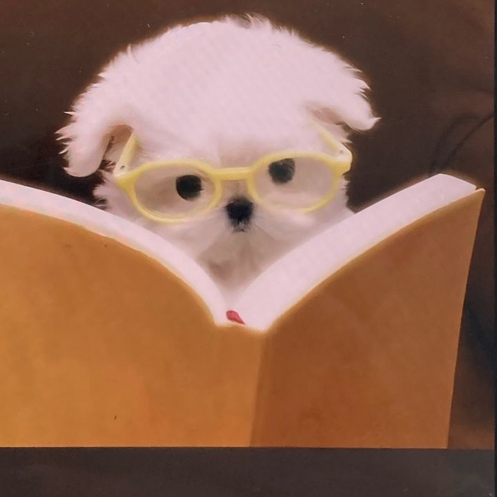 mompl2