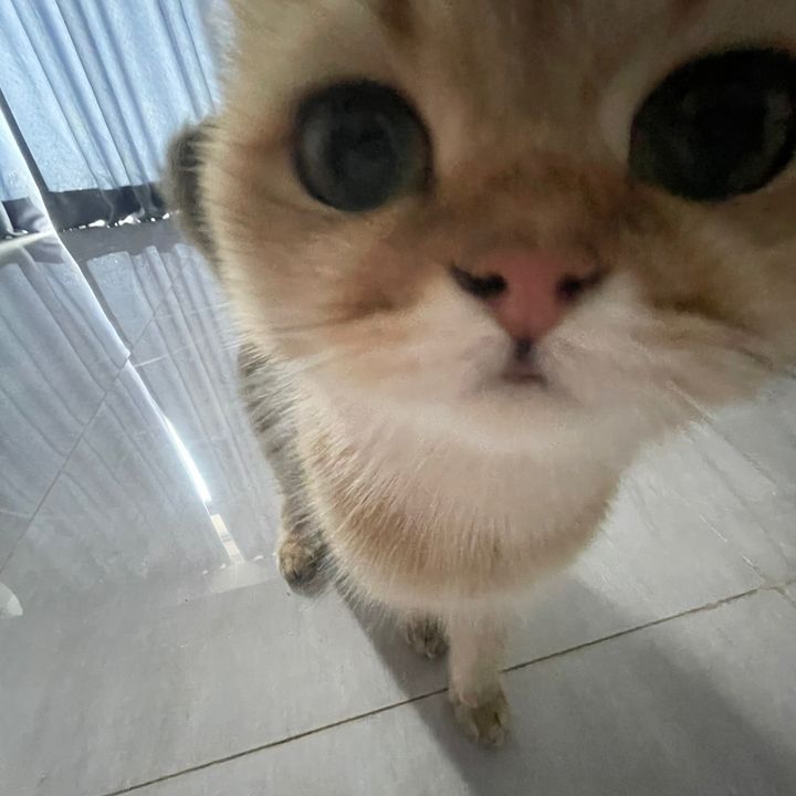 ອະທິຖານກ່ອນເລຍ👅🐣