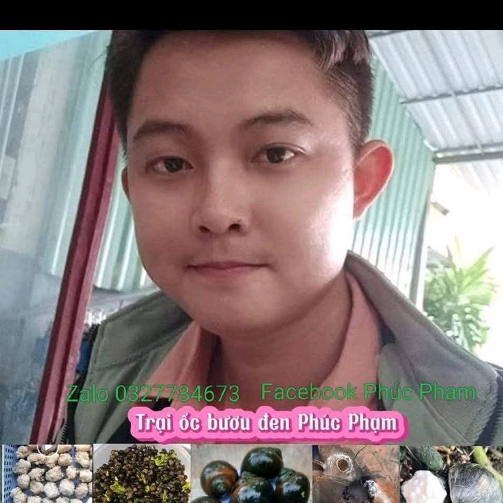 Trại ốc Phúc Phạm Tân Trụ